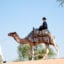The Ritz Carlton Ras Al Khaimah Al Wadi Desert Camel Riding